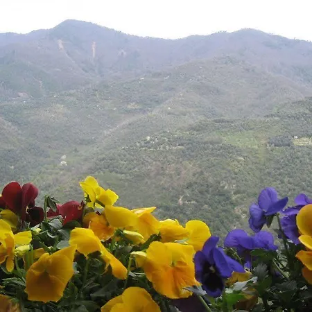 Vecchia Fattoria Πανδοχείο Ceriana