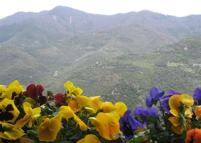 Vecchia Fattoria Πανδοχείο Ceriana